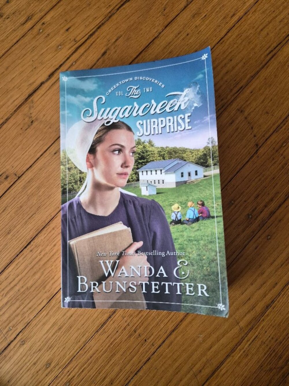 Sugarcreek Surprise Vol 2 by Wanda Brunstetter
